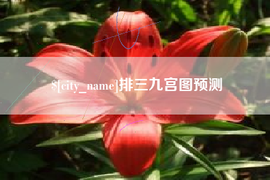 五家渠排三九宫图预测