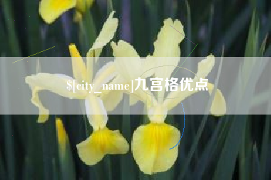 五家渠九宫格优点