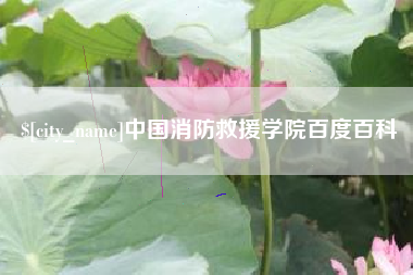 五家渠中国消防救援学院百度百科