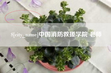五家渠中国消防救援学院 老师