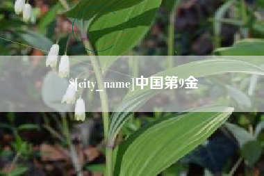 五家渠中国第9金