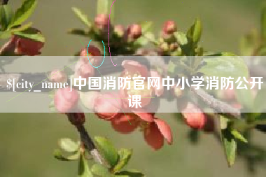 五家渠中国消防官网中小学消防公开课