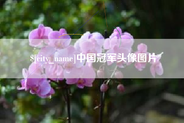 五家渠中国冠军头像图片