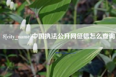 五家渠中国执法公开网征信怎么查询