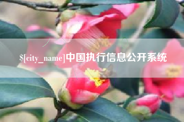 五家渠中国执行信息公开系统