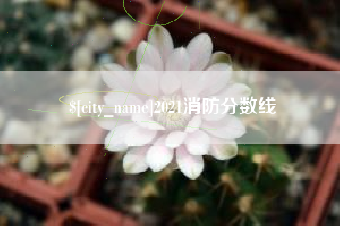 五家渠2021消防分数线