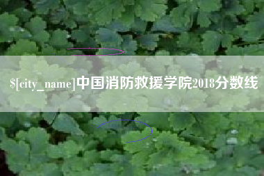 五家渠中国消防救援学院2018分数线