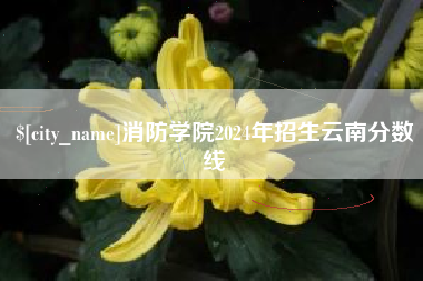 五家渠消防学院2024年招生云南分数线