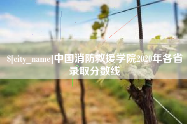 五家渠中国消防救援学院2020年各省录取分数线