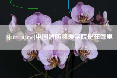 五家渠中国消防救援学院是在哪里