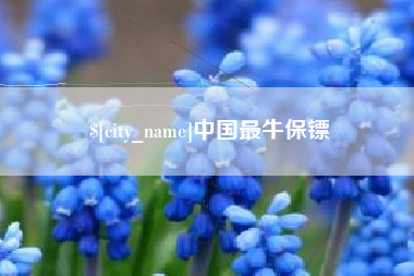 五家渠中国最牛保镖