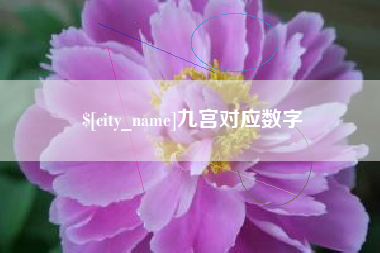 五家渠九宫对应数字