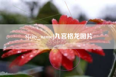 五家渠九宫格龙图片