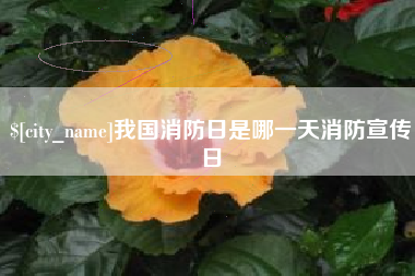 五家渠我国消防日是哪一天消防宣传日