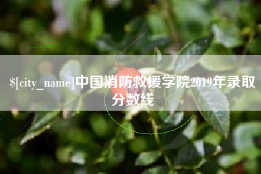 五家渠中国消防救援学院2019年录取分数线