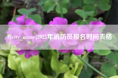 五家渠2025年消防员报名时间表格