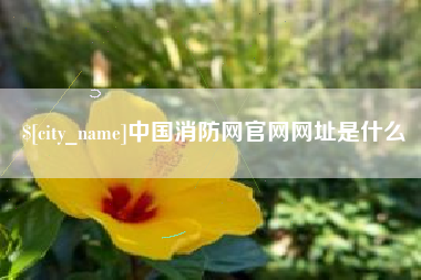 五家渠中国消防网官网网址是什么