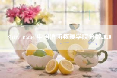 五家渠中国消防救援学院分数2020