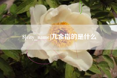 五家渠九金指的是什么