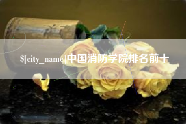 五家渠中国消防学院排名前十
