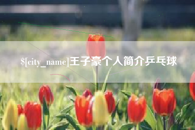 五家渠王子豪个人简介乒乓球