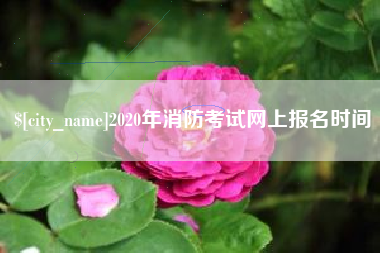 五家渠2020年消防考试网上报名时间