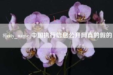 五家渠中国执行信息公开网真的假的