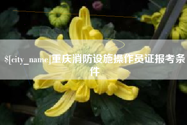 五家渠重庆消防设施操作员证报考条件