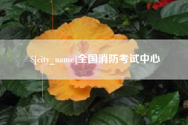 五家渠全国消防考试中心