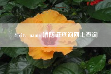 五家渠消防证查询网上查询