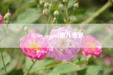 五家渠第九金是