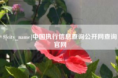 五家渠中国执行信息查询公开网查询官网