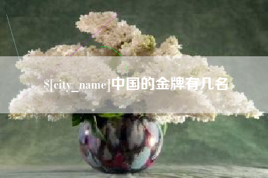 五家渠中国的金牌有几名
