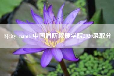 五家渠中国消防救援学院2020录取分