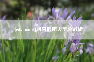 五家渠河南消防大学分数线