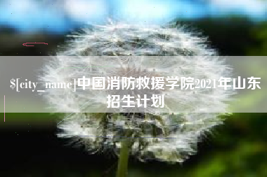 五家渠中国消防救援学院2021年山东招生计划