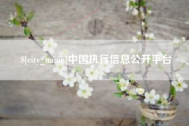 五家渠中国执行信息公开平台