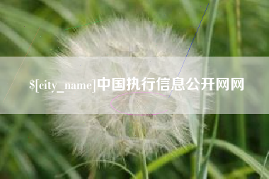五家渠中国执行信息公开网网