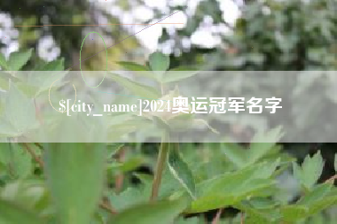 五家渠2024奥运冠军名字