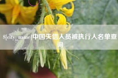 五家渠中国失信人员被执行人名单查询
