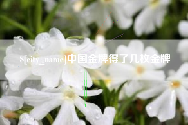 五家渠中国金牌得了几枚金牌