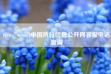 五家渠中国执行信息公开网客服电话查询