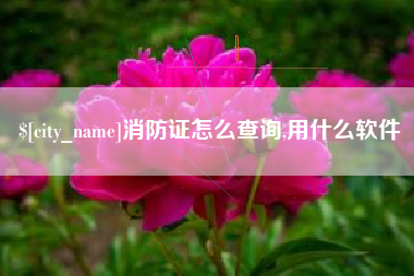 五家渠消防证怎么查询,用什么软件