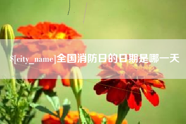 五家渠全国消防日的日期是哪一天