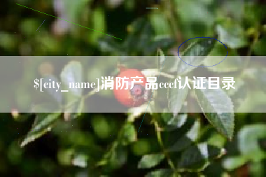 五家渠消防产品cccf认证目录