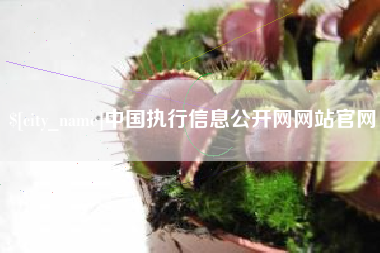 五家渠中国执行信息公开网网站官网