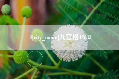 五家渠九宫格42633