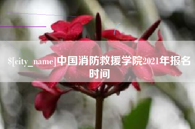 五家渠中国消防救援学院2021年报名时间