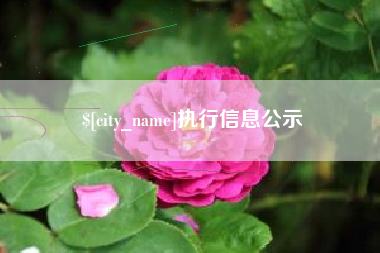 五家渠执行信息公示