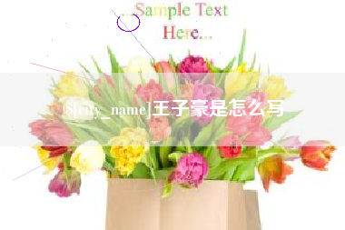 五家渠王子豪是怎么写